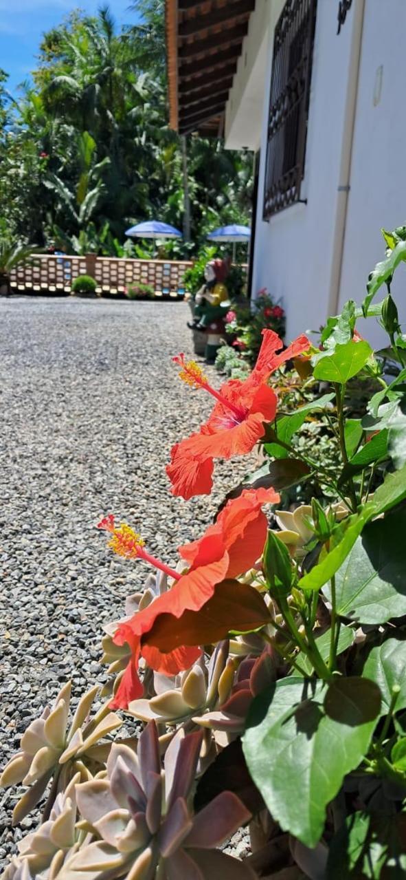 Recanto Area Verde, Tradicao E Cultura Alema โปเมโรเจ ภายนอก รูปภาพ